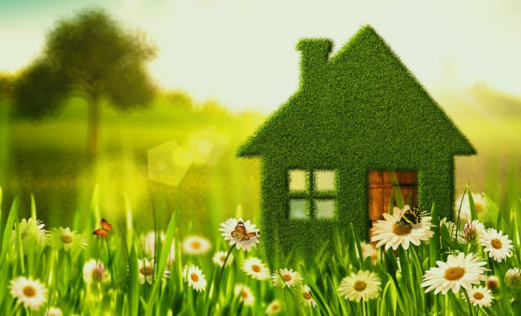 Sostenibilidad en casa: pequeños cambios que generan gran impacto